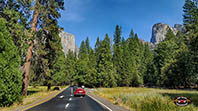 Tour inside Yosemite